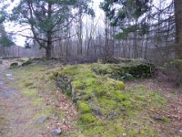 6  Saverne LE WASSERWALD 05 03 2017 35